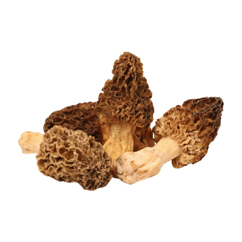 Frozen Morel Mushrooms 1kg product image 2