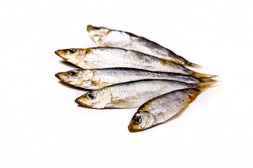 Whole Whitebait 454g product image 2