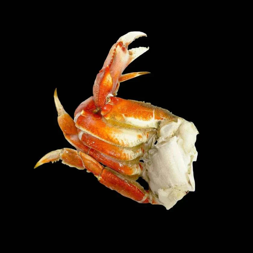 Two cooked frozen Dungeness crab clusters weighing approximately 600g, Pacific West Coast origin