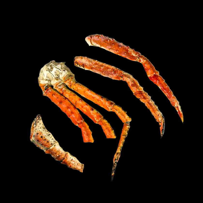 Crab legs on a black background