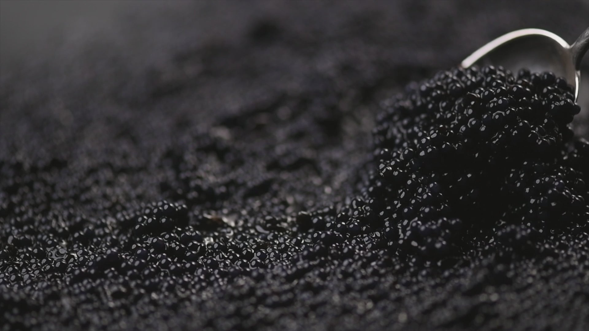 Baeri Caviar