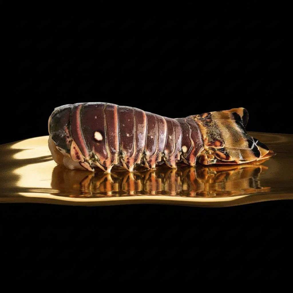 Frozen Caribbean rock lobster tail weighing approximately 220g in sealed packaging