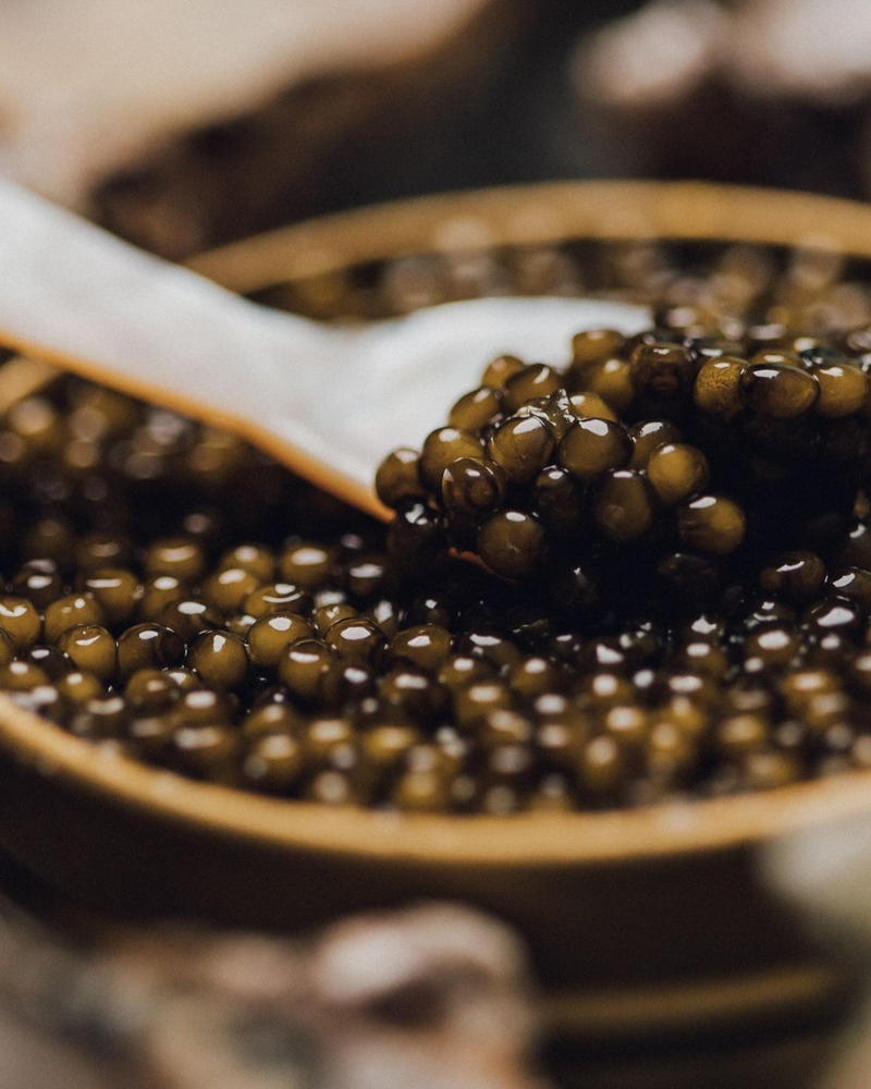 Oscietra Caviar: The Connoisseur's Favourite (And Why We Agree)