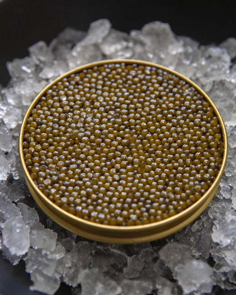Buy Caviar Online in the UK: The Only Guide You Need