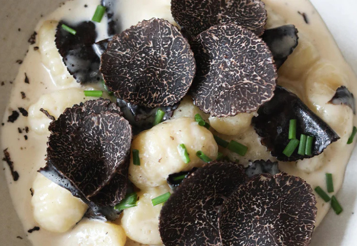 Beleaev Truffle Guide cover with fresh truffles and seasonal varieties illustration