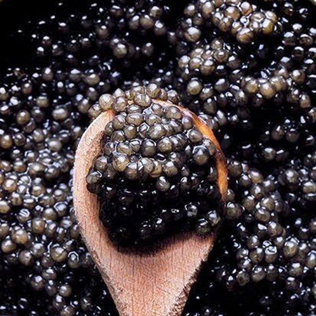Close-up of Beleaev caviar pearls from the product catalogue
