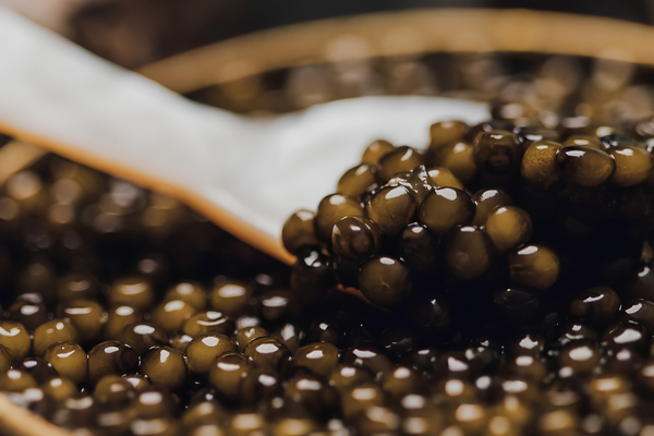How to Store Caviar: Opened, Unopened and Serving Temperature