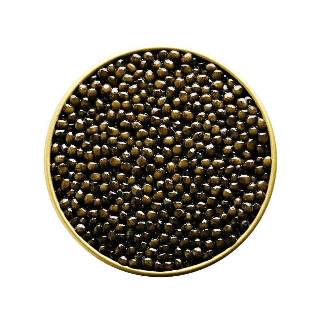 Oscietra Royal Caviar catalogue image for Oscietra vs Beluga: Key Differences & Buyer Guide