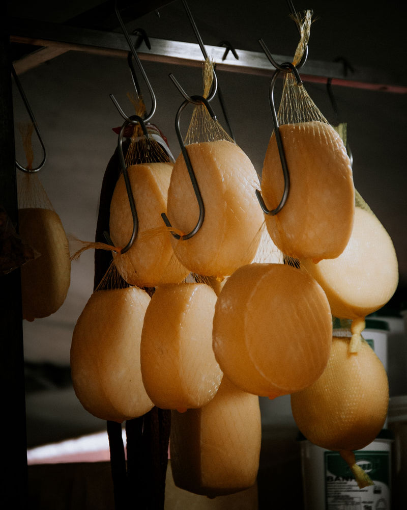 Pecorino Romano DOP presented for a Beleaev food guide