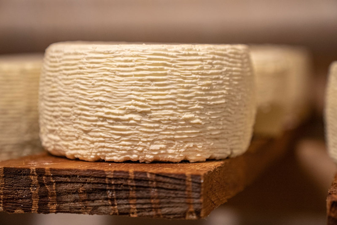 Pecorino Romano DOP presented for a Beleaev food guide
