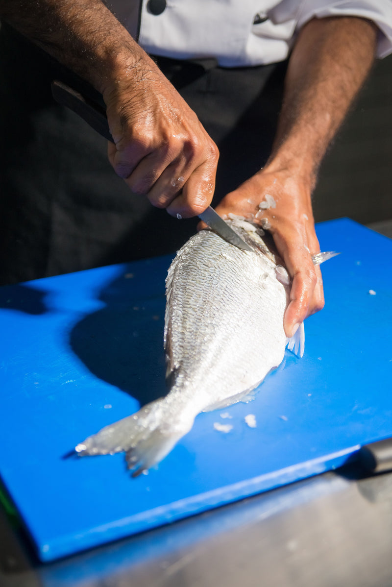 Turbot fillet with caviar champagne sauce on white plate