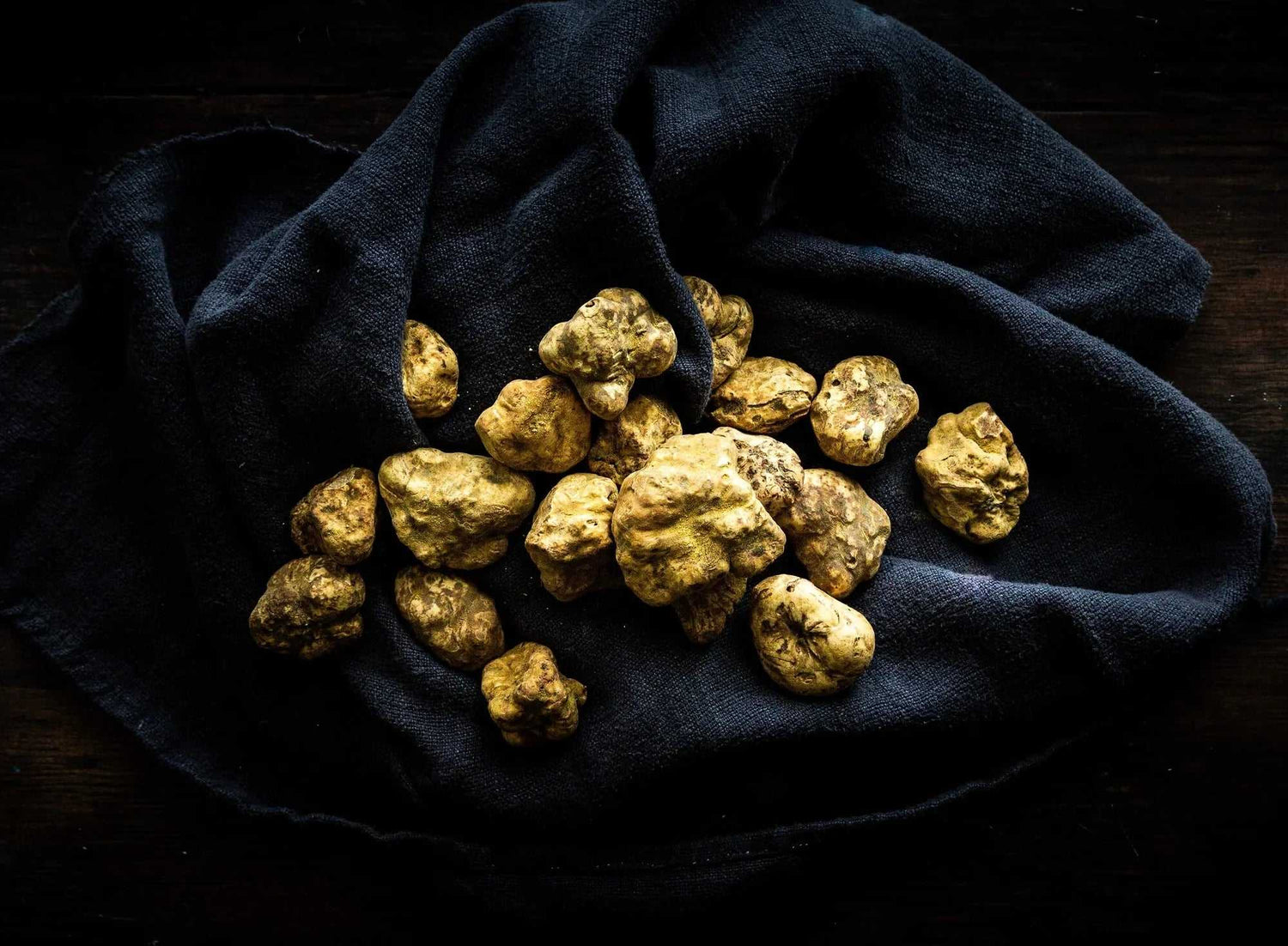 Fresh white truffles