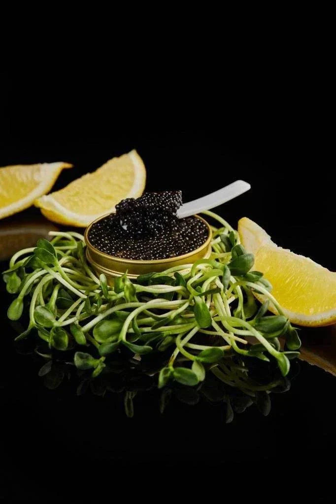 Royal Baeri Caviar - BELEAEV CAVIAR & GOURMET