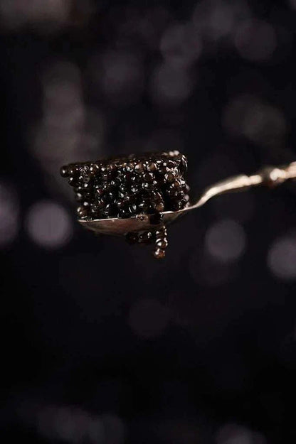 Royal Baeri Caviar - BELEAEV CAVIAR & GOURMET