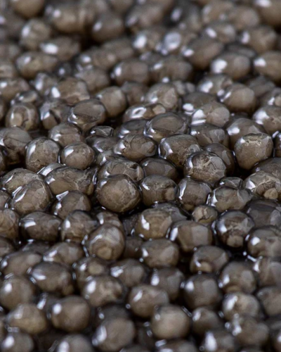 Royal Beluga Caviar - Beleaev Caviar