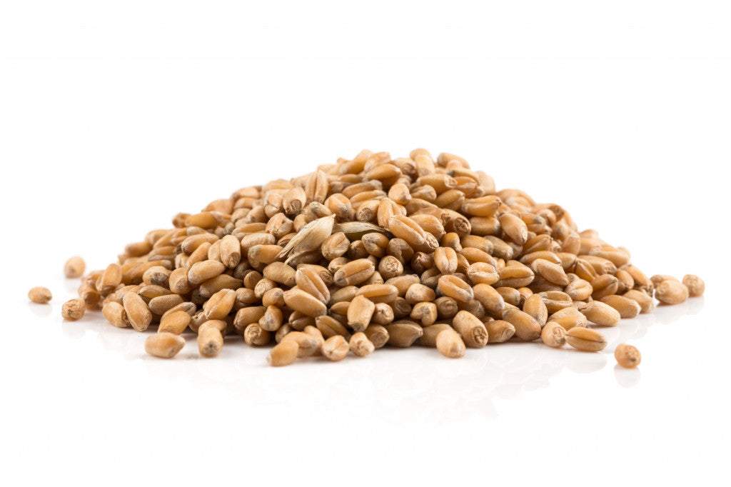 Spelt 500g, Ambient Pantry Pack