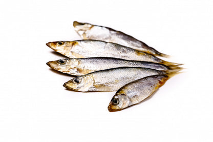 Whole Whitebait 454g product image 2