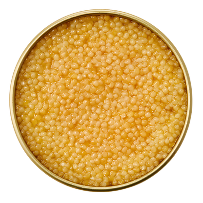 Almaz Diamond Caviar luminous golden eggs with buttery finish