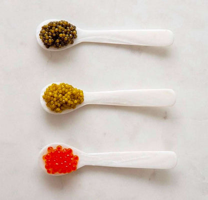 Beleaev Signature Tasting Set with four premium caviar varieties and tasting spoons