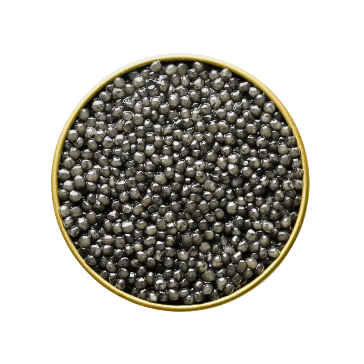 Beluga Reserve Caviar premium grey pearls in tin