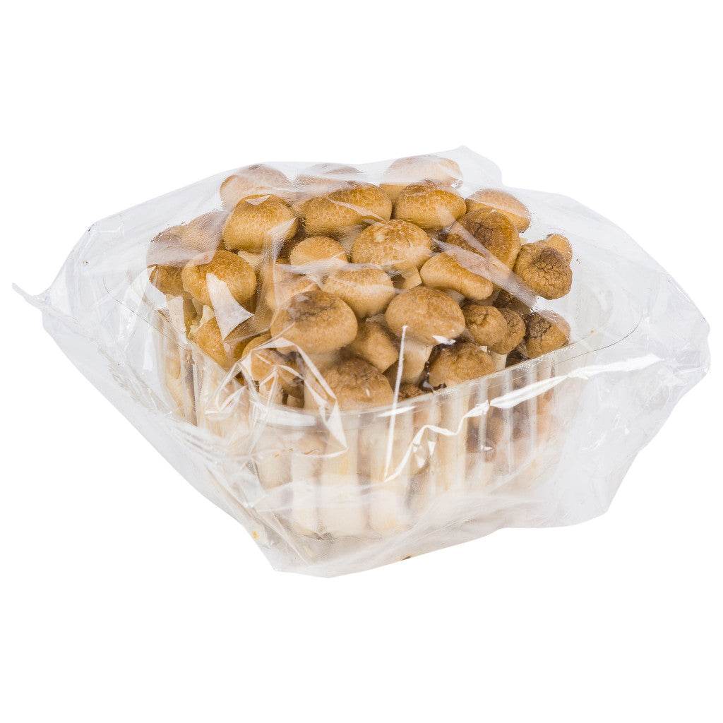 Fresh brown shimeji mushrooms cluster on white background