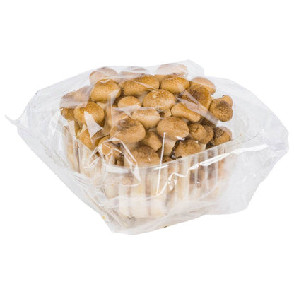 Fresh brown shimeji mushrooms cluster on white background