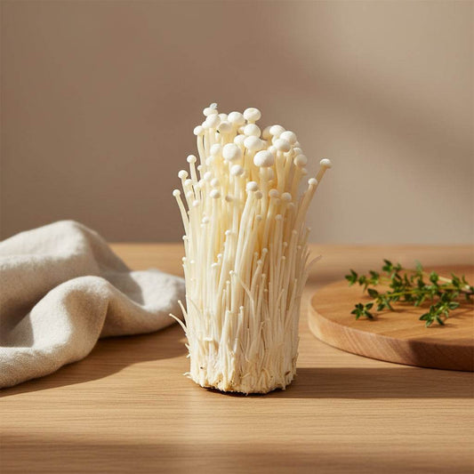 Fresh enoki mushrooms bunch with slender stems