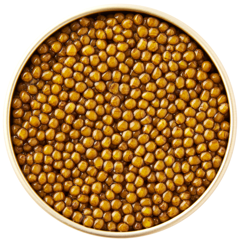 Golden Oscietra Special Reserve caviar with golden pearls