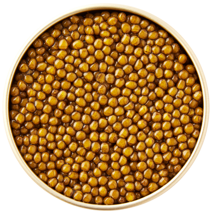 Golden Oscietra Special Reserve caviar with golden pearls