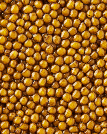 Golden Oscietra special reserve caviar with luminous golden pearls