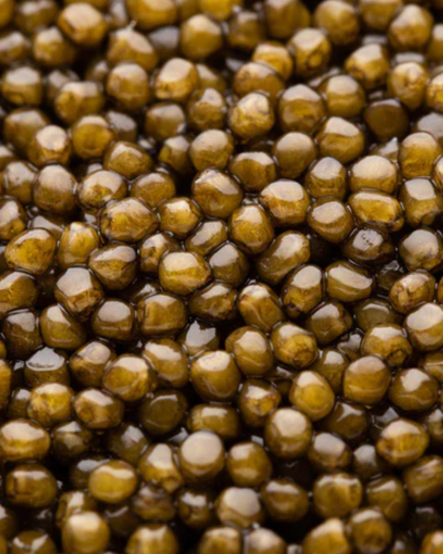 Imperial Gold Special Reserve caviar with dark golden roe and amber pearls