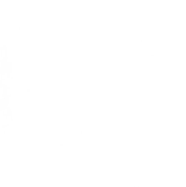 LBS