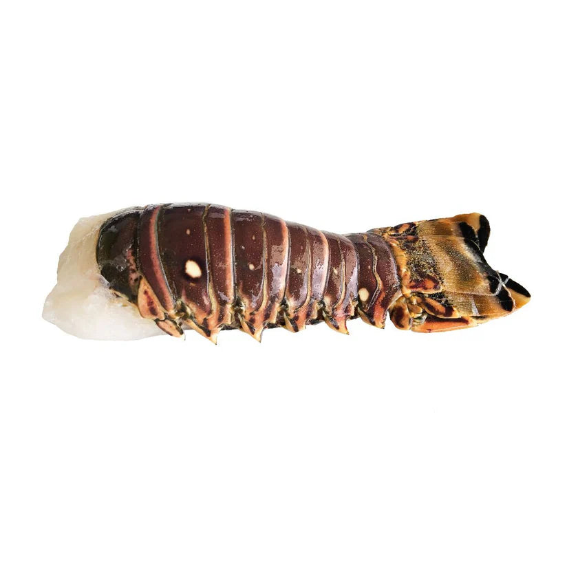 Rock Lobster Tail, Frozen, +/-220g