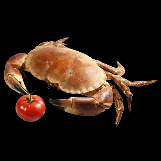 Crab next to a tomato on a white background