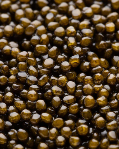 Oscietra Royal Caviar with medium-large brown and golden pearls