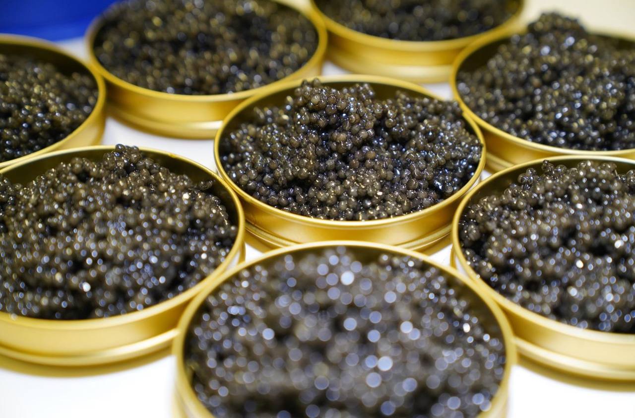 Royal Baeri Caviar - Beleaev Caviar