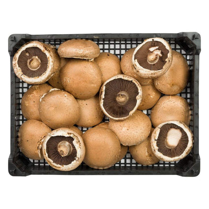 Fresh portobello mushrooms with broad caps and meaty texture