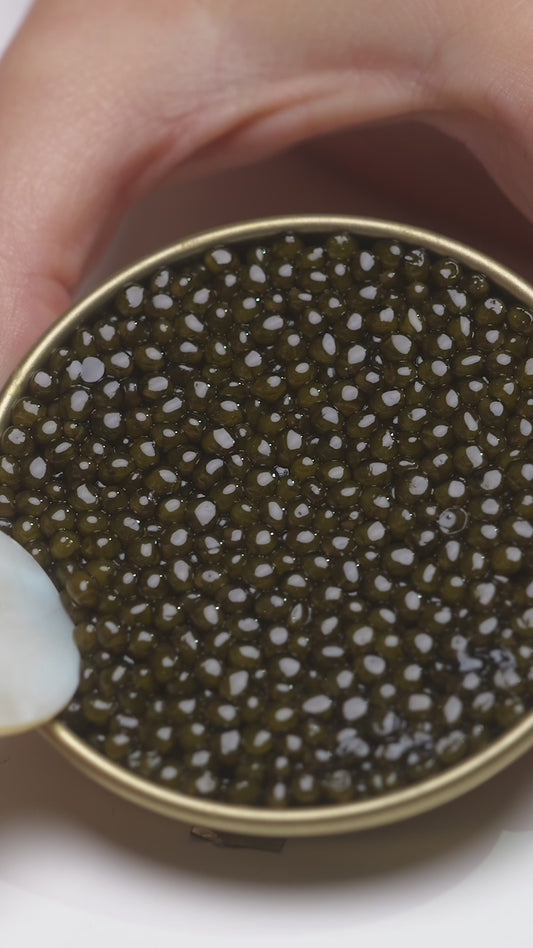 Oscietra Royal Caviar