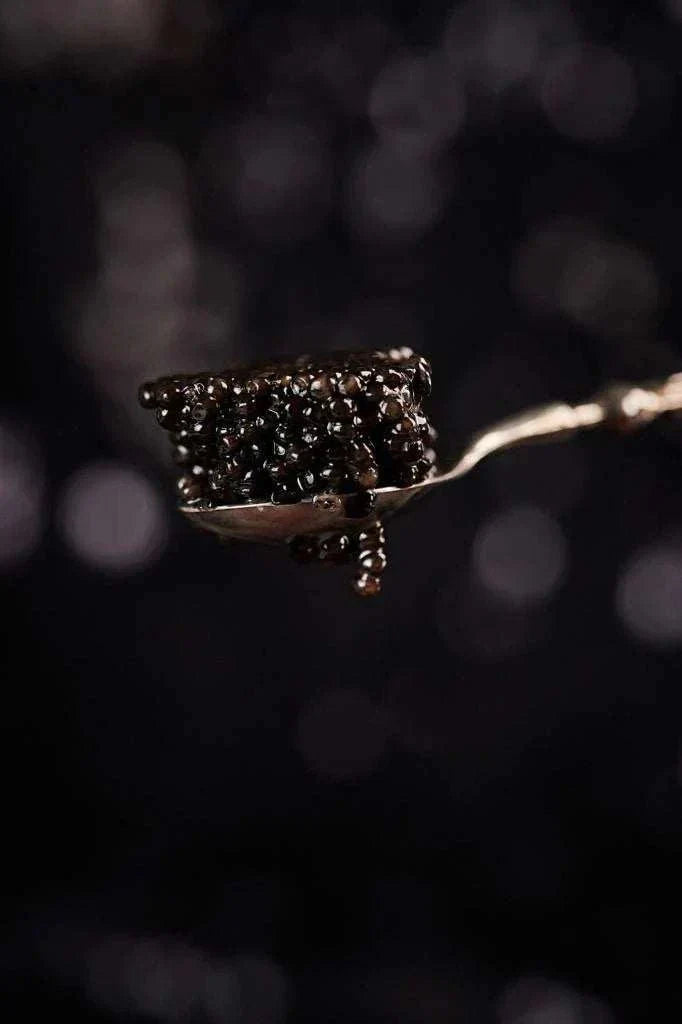 Royal Baeri Caviar medium charcoal pearls with silky texture and nutty notes