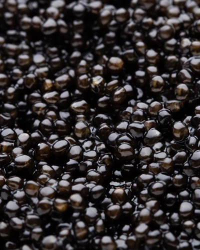 Royal Baeri Caviar medium charcoal pearls with silky texture