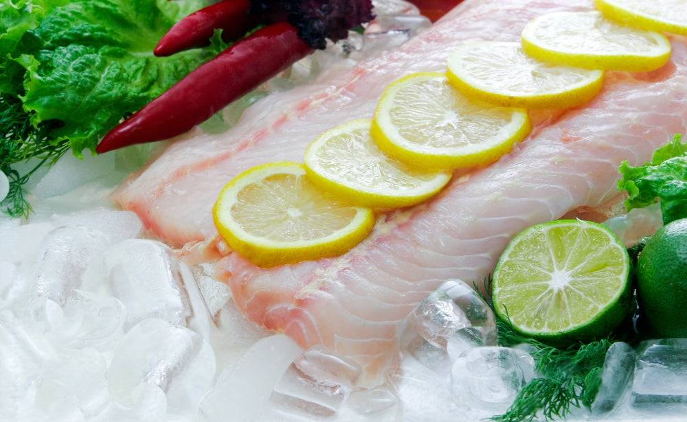 Boneless skinless 1.6kg sturgeon fish fillet ready for cooking